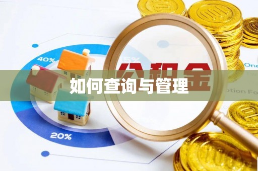 江宁如何查询与管理