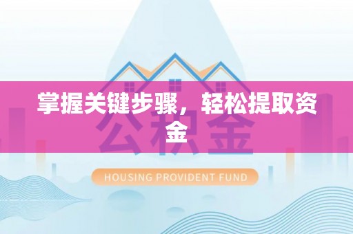 江宁掌握关键步骤，轻松提取资金