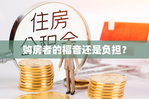 江宁购房者的福音还是负担？