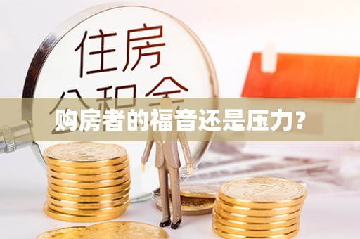 江宁购房者的福音还是压力？