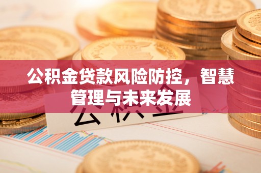 江宁公积金贷款风险防控，智慧管理与未来发展