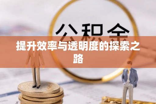 江宁提升效率与透明度的探索之路