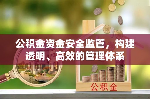 江宁公积金资金安全监管，构建透明、高效的管理体系