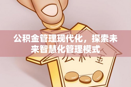 江宁公积金管理现代化，探索未来智慧化管理模式