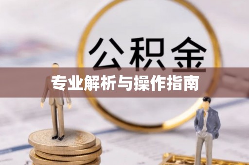 江宁专业解析与操作指南